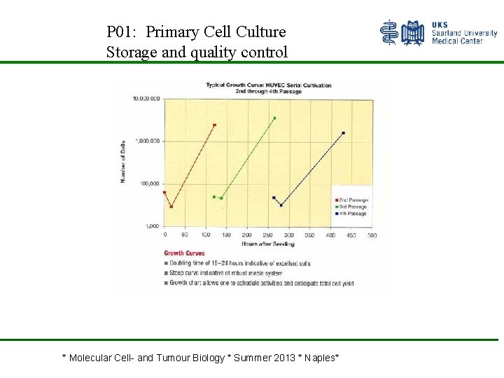 P 01: Primary Cell Culture Storage and quality control * Molecular Cell- and Tumour