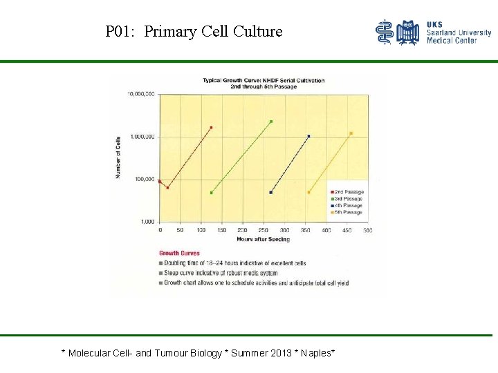 P 01: Primary Cell Culture * Molecular Cell- and Tumour Biology * Summer 2013