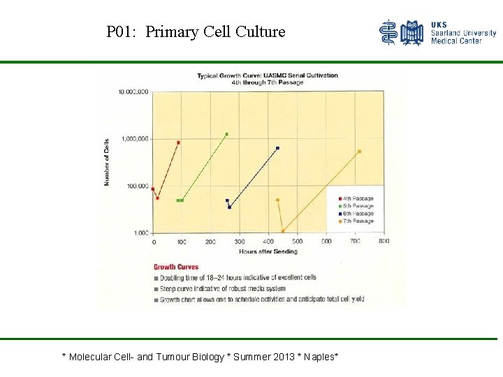 P 01: Primary Cell Culture * Molecular Cell- and Tumour Biology * Summer 2013