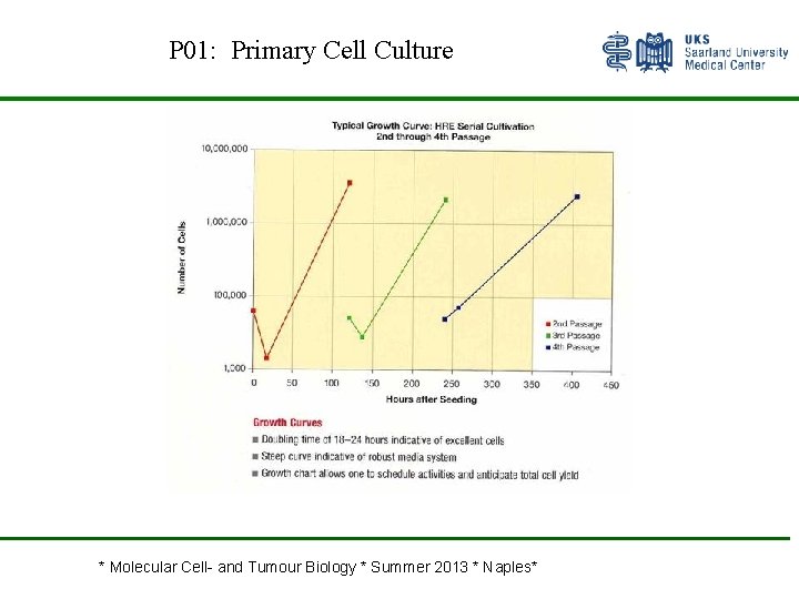 P 01: Primary Cell Culture * Molecular Cell- and Tumour Biology * Summer 2013