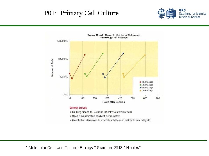 P 01: Primary Cell Culture * Molecular Cell- and Tumour Biology * Summer 2013