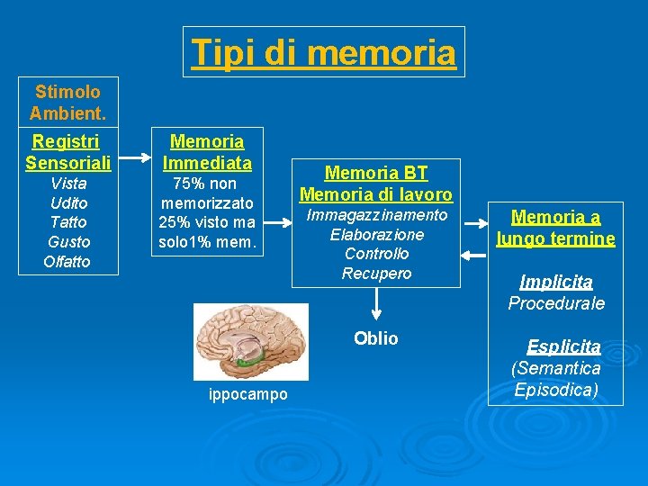 Tipi di memoria Stimolo Ambient. Registri Sensoriali Memoria Immediata Vista Udito Tatto Gusto Olfatto