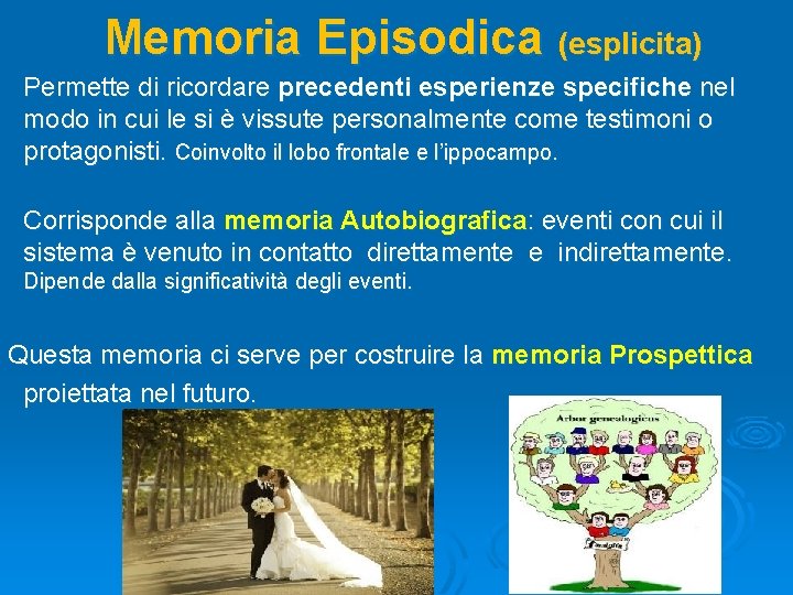 Memoria Episodica (esplicita) Permette di ricordare precedenti esperienze specifiche nel modo in cui le