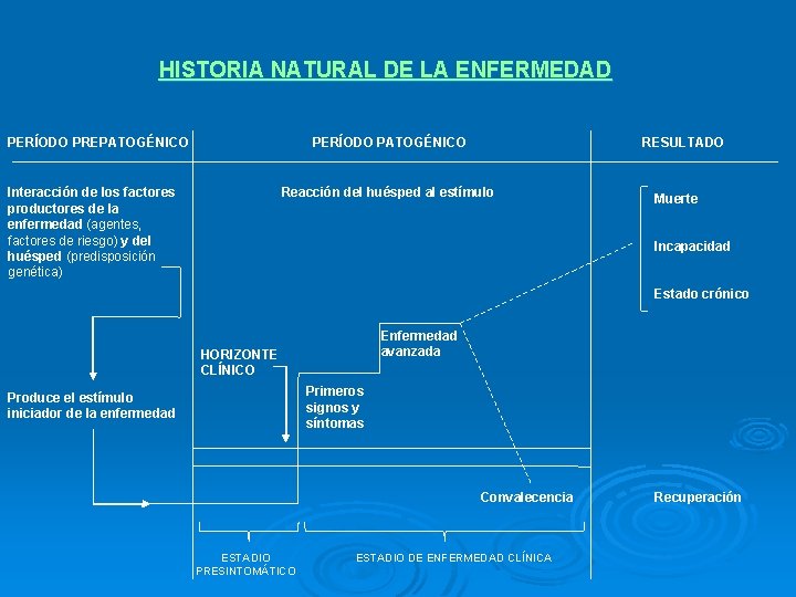 HISTORIA NATURAL DE LA ENFERMEDAD PERÍODO PREPATOGÉNICO PERÍODO PATOGÉNICO Interacción de los factores productores