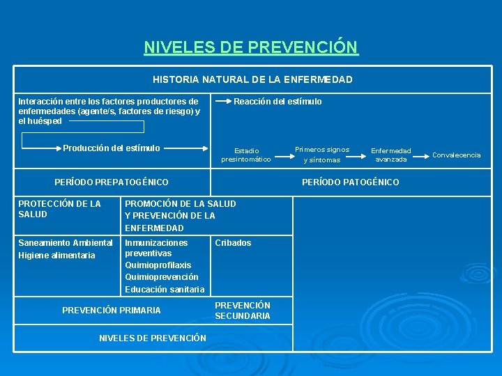 NIVELES DE PREVENCIÓN HISTORIA NATURAL DE LA ENFERMEDAD Interacción entre los factores productores de