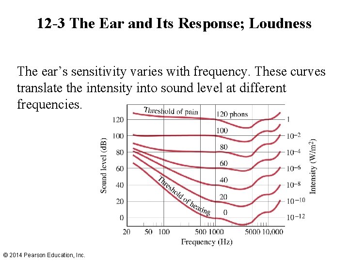 12 -3 The Ear and Its Response; Loudness The ear’s sensitivity varies with frequency.