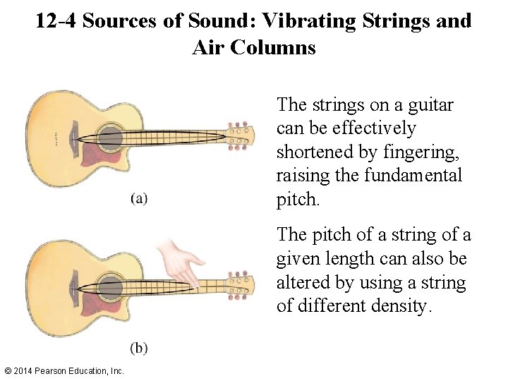 12 -4 Sources of Sound: Vibrating Strings and Air Columns The strings on a