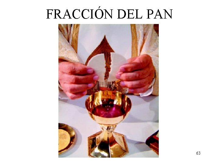 FRACCIÓN DEL PAN 63 