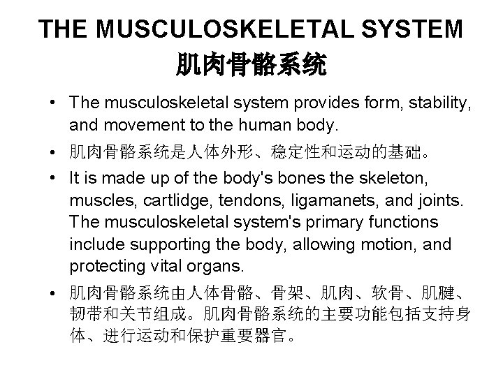 THE MUSCULOSKELETAL SYSTEM 肌肉骨骼系统 • The musculoskeletal system provides form, stability, and movement to THE MUSCULOSKELETAL SYSTEM 肌肉骨骼系统 • The musculoskeletal system provides form, stability, and movement to