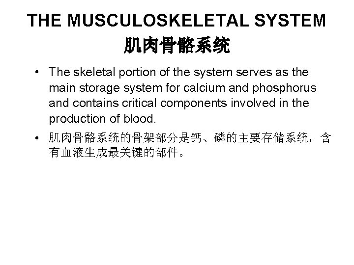 THE MUSCULOSKELETAL SYSTEM 肌肉骨骼系统 • The skeletal portion of the system serves as the THE MUSCULOSKELETAL SYSTEM 肌肉骨骼系统 • The skeletal portion of the system serves as the