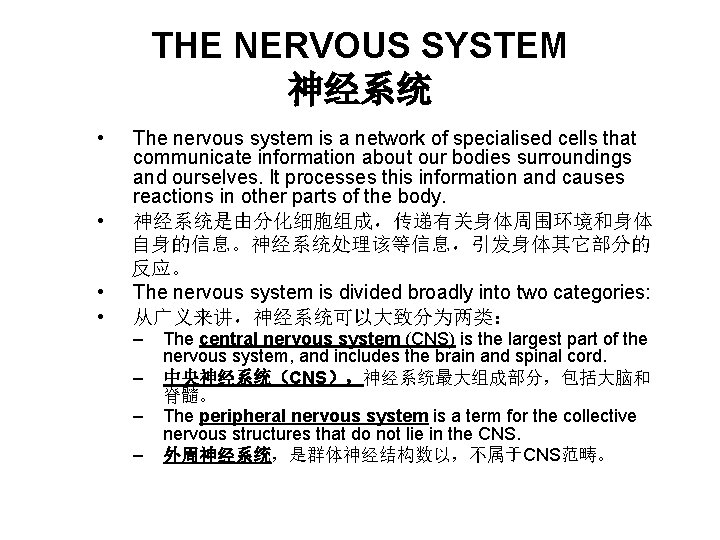 THE NERVOUS SYSTEM 神经系统 • • The nervous system is a network of specialised THE NERVOUS SYSTEM 神经系统 • • The nervous system is a network of specialised