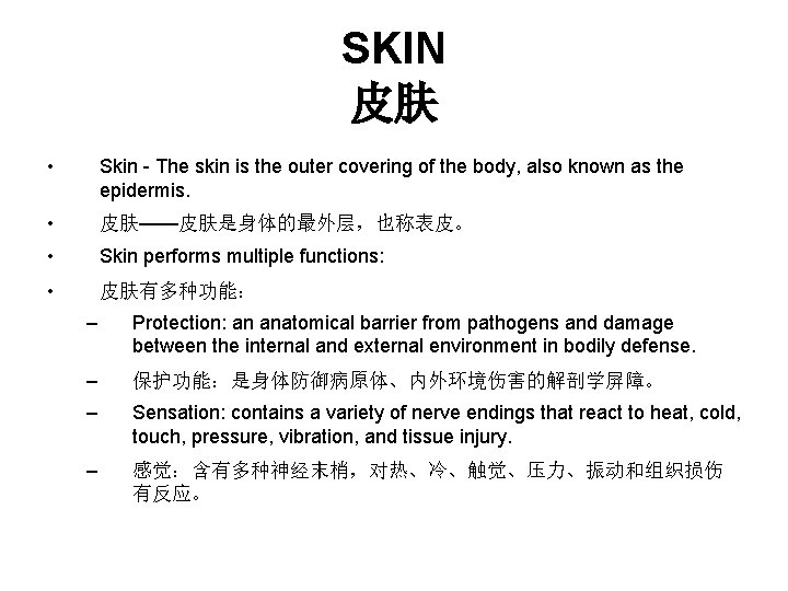 SKIN 皮肤 • Skin - The skin is the outer covering of the body, SKIN 皮肤 • Skin - The skin is the outer covering of the body,