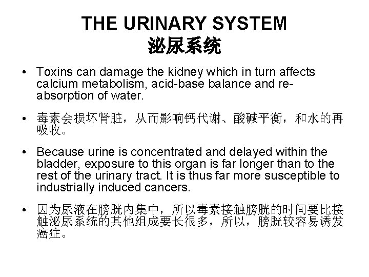 THE URINARY SYSTEM 泌尿系统 • Toxins can damage the kidney which in turn affects THE URINARY SYSTEM 泌尿系统 • Toxins can damage the kidney which in turn affects