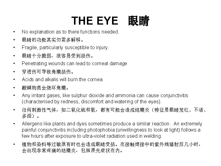 THE EYE 眼睛 • No explanation as to there functions needed. • 眼睛的功能其实勿需多解释。 • THE EYE 眼睛 • No explanation as to there functions needed. • 眼睛的功能其实勿需多解释。 •