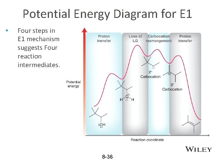 Potential Energy Diagram for E 1 • Four steps in E 1 mechanism suggests