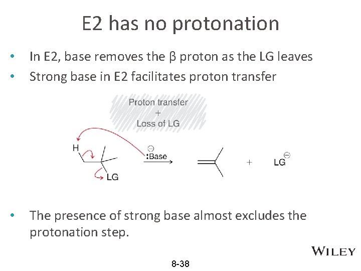 E 2 has no protonation • • In E 2, base removes the β