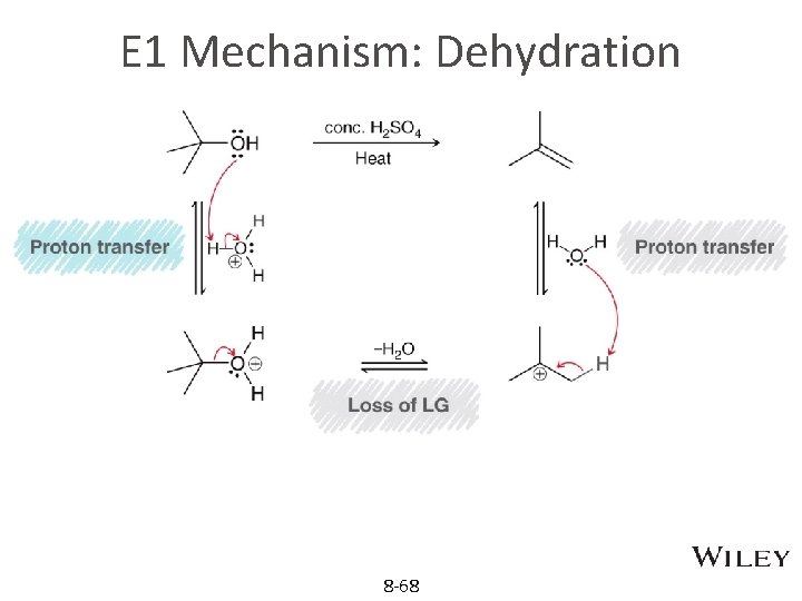 E 1 Mechanism: Dehydration 8 -68 