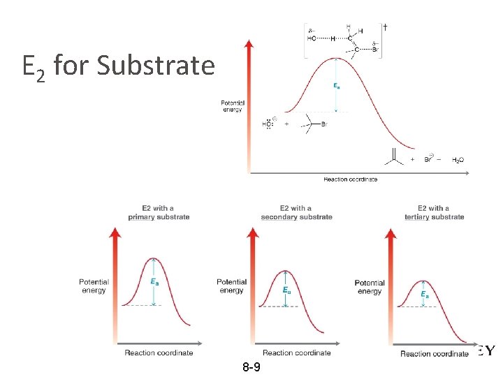 E 2 for Substrate 8 -9 