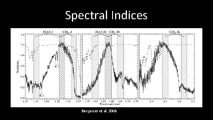 Spectral Indices Burgasser et al. 2006 