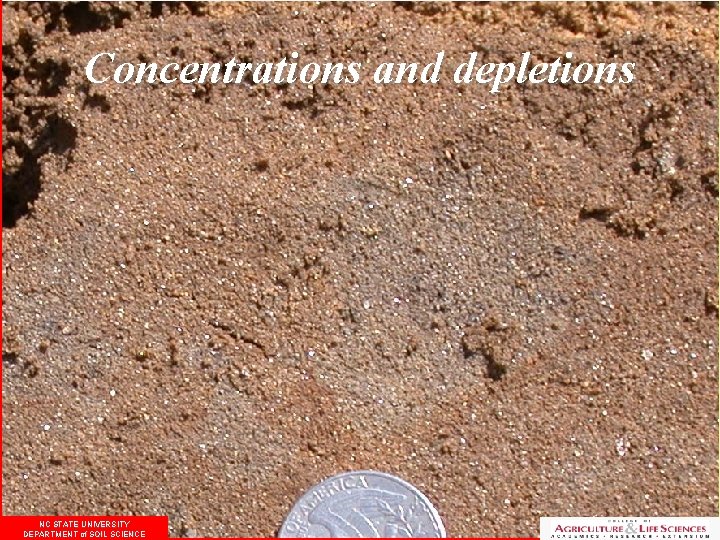 Concentrations and depletions NC STATE UNIVERSITY DEPARTMENT of SOIL SCIENCE 