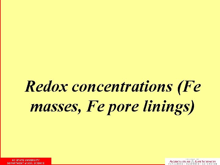 Redox concentrations (Fe masses, Fe pore linings) NC STATE UNIVERSITY DEPARTMENT of SOIL SCIENCE