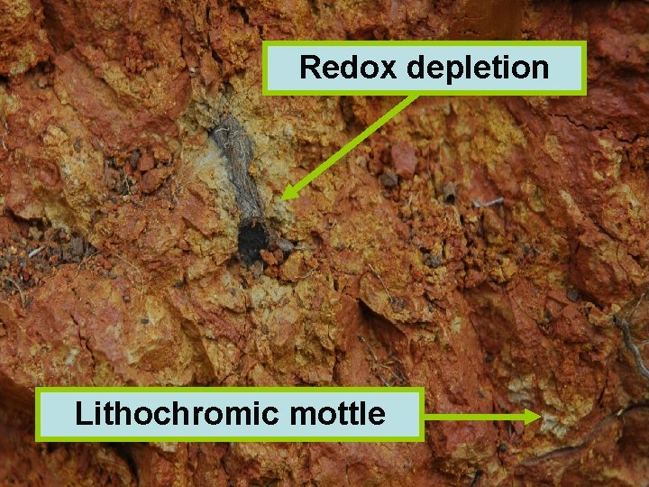 Redox depletion Lithochromic mottle 