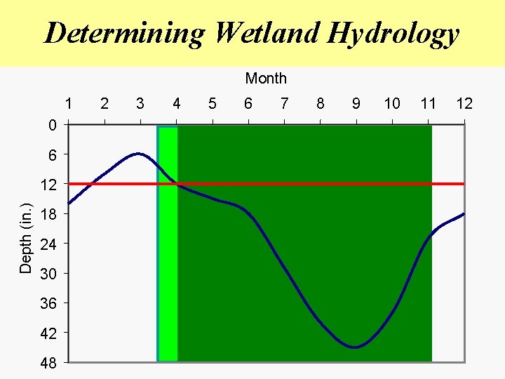 Determining Wetland Hydrology Month 1 0 6 Depth (in. ) 12 18 24 30