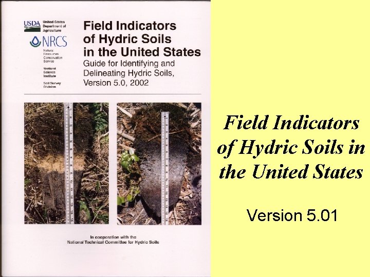 Field Indicators of Hydric Soils in the United States Version 5. 01 