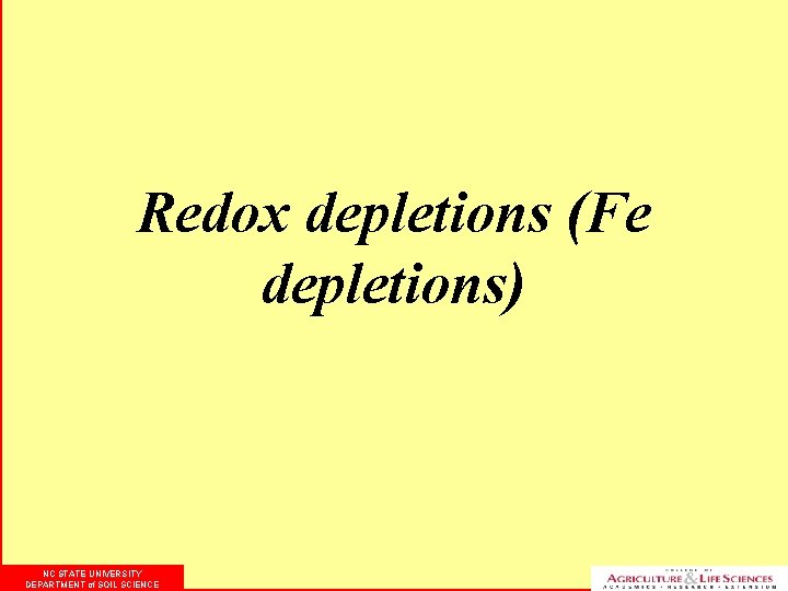 Redox depletions (Fe depletions) NC STATE UNIVERSITY DEPARTMENT of SOIL SCIENCE 