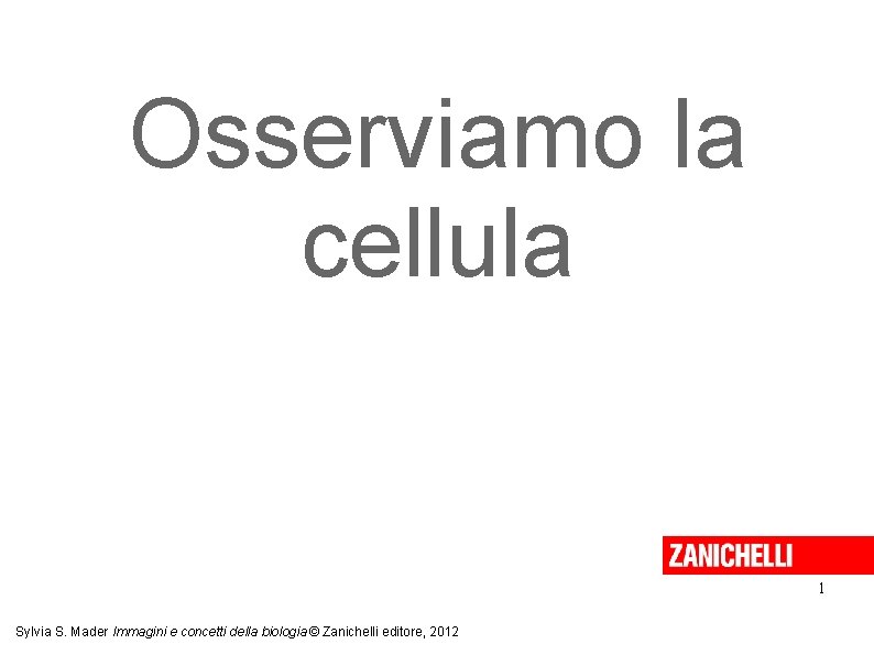 Osserviamo la cellula 1 Sylvia S. Mader Immagini e concetti della biologia © Zanichelli Osserviamo la cellula 1 Sylvia S. Mader Immagini e concetti della biologia © Zanichelli