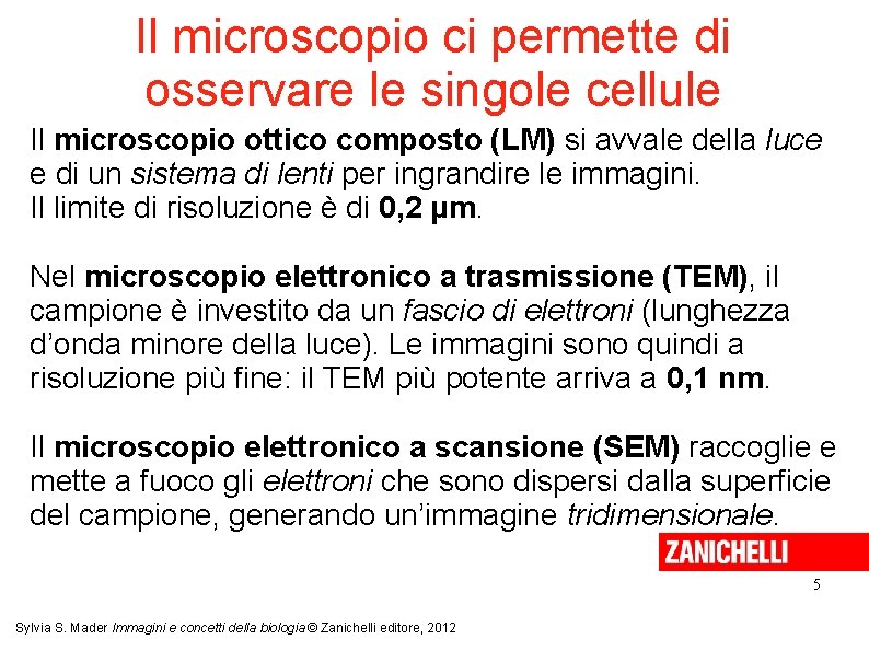 Il microscopio ci permette di osservare le singole cellule Il microscopio ottico composto (LM) Il microscopio ci permette di osservare le singole cellule Il microscopio ottico composto (LM)