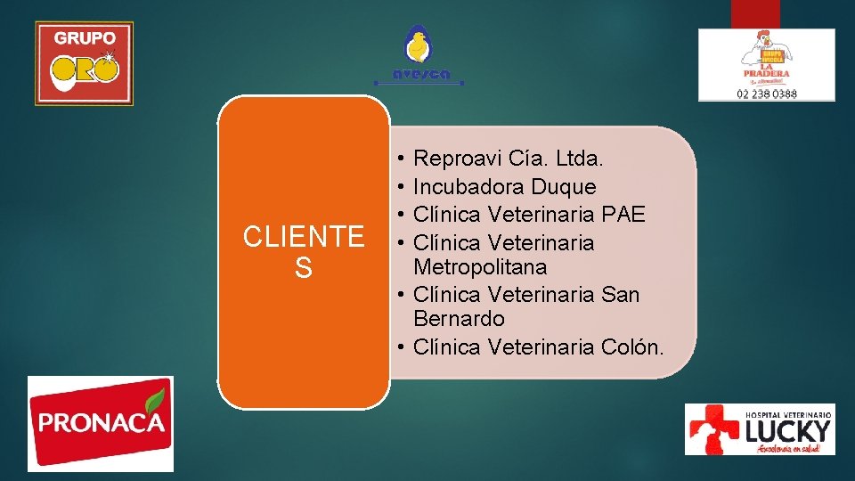 CLIENTE S • • Reproavi Cía. Ltda. Incubadora Duque Clínica Veterinaria PAE Clínica Veterinaria CLIENTE S • • Reproavi Cía. Ltda. Incubadora Duque Clínica Veterinaria PAE Clínica Veterinaria