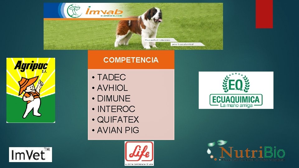 COMPETENCIA • • • TADEC AVHIOL DIMUNE INTEROC QUIFATEX AVIAN PIG COMPETENCIA • • • TADEC AVHIOL DIMUNE INTEROC QUIFATEX AVIAN PIG