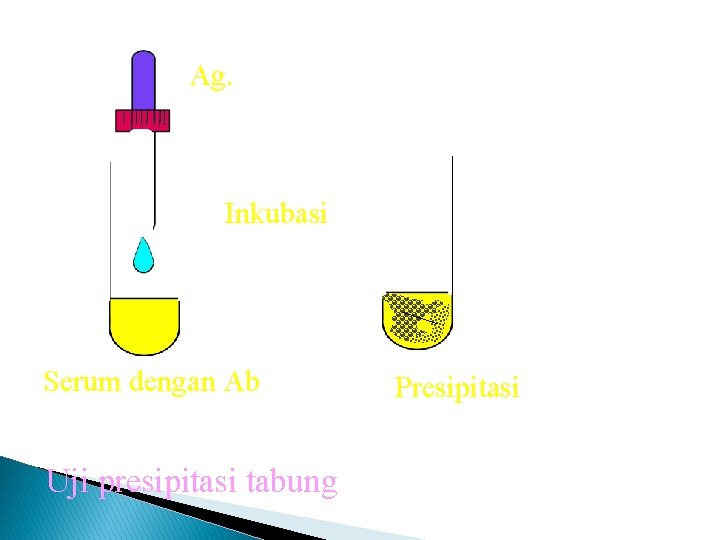 Ag. Inkubasi Serum dengan Ab Uji presipitasi tabung Presipitasi 
