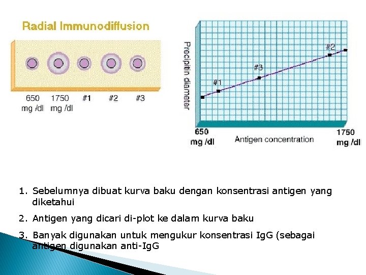 1. Sebelumnya dibuat kurva baku dengan konsentrasi antigen yang diketahui 2. Antigen yang dicari