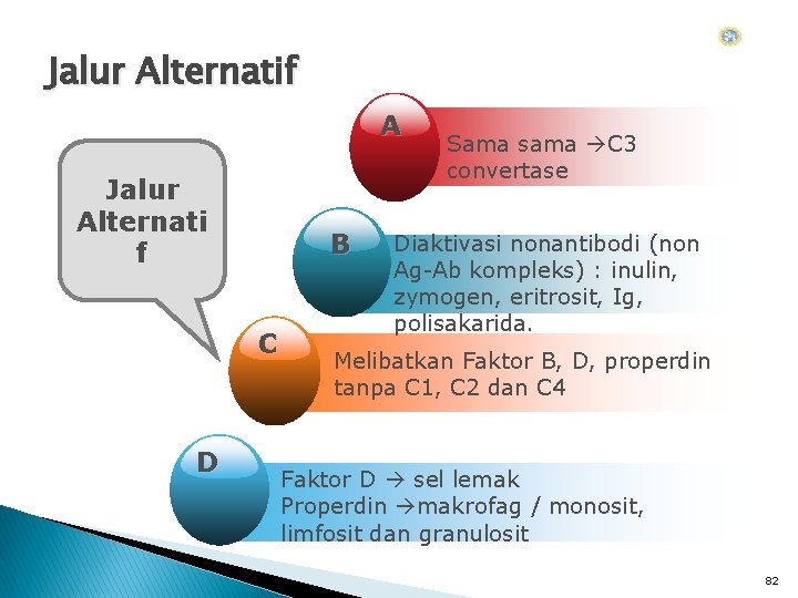 Jalur Alternatif A Jalur Alternati f B C D Sama sama C 3 convertase