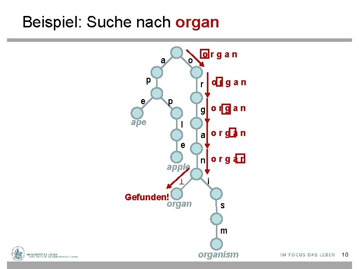 Beispiel: Suche nach organ a o p e organ r organ p g organ