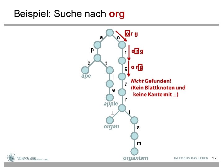 Beispiel: Suche nach org a o p e org r org p g org