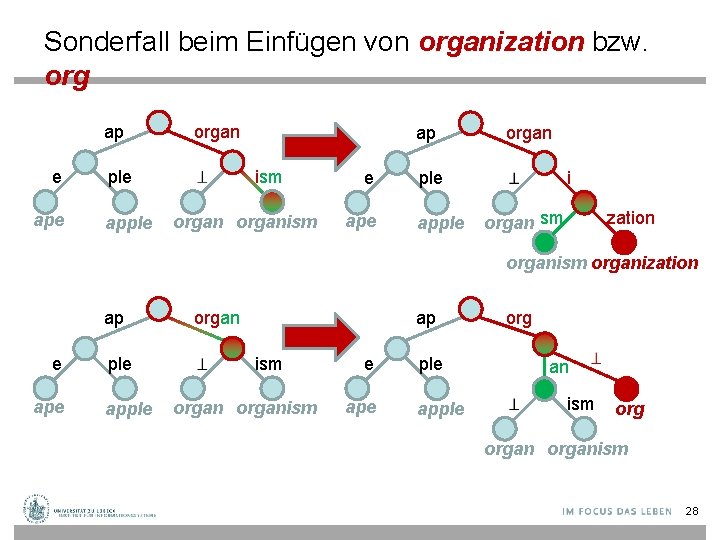 Sonderfall beim Einfügen von organization bzw. org e ap organ ple apple ism organism