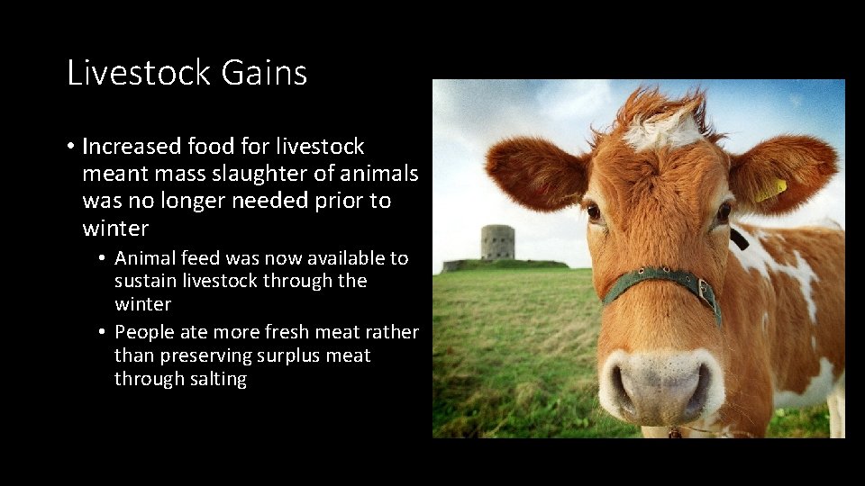 Livestock Gains • Increased food for livestock meant mass slaughter of animals was no