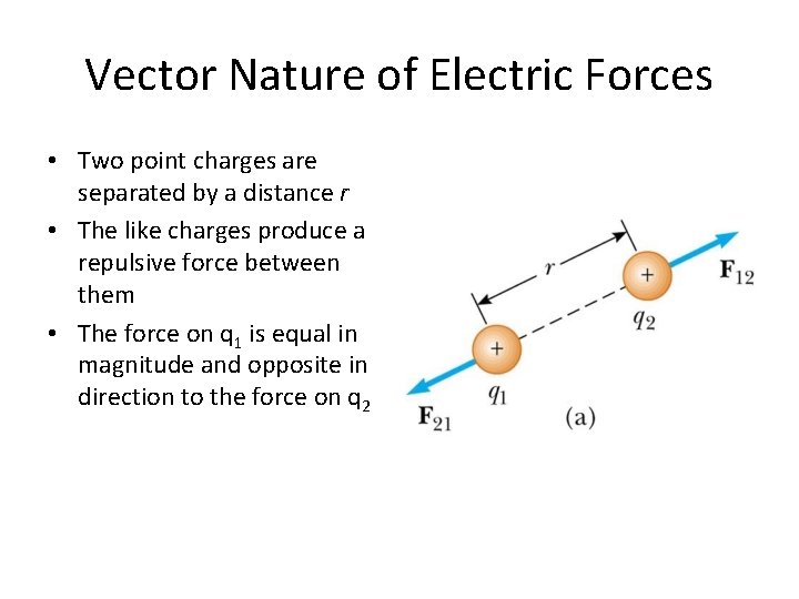 Vector Nature of Electric Forces • Two point charges are separated by a distance