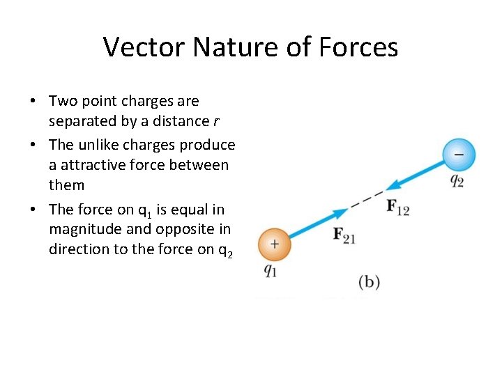 Vector Nature of Forces • Two point charges are separated by a distance r
