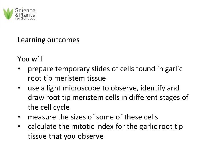 Learning outcomes You will • prepare temporary slides of cells found in garlic root