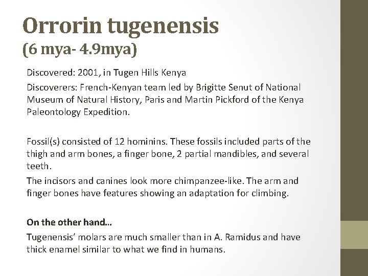 Orrorin tugenensis (6 mya- 4. 9 mya) Discovered: 2001, in Tugen Hills Kenya Discoverers: