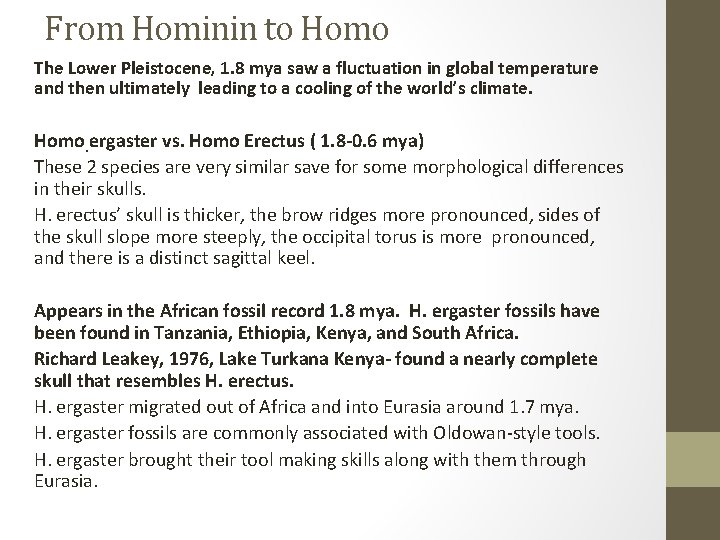From Hominin to Homo The Lower Pleistocene, 1. 8 mya saw a fluctuation in