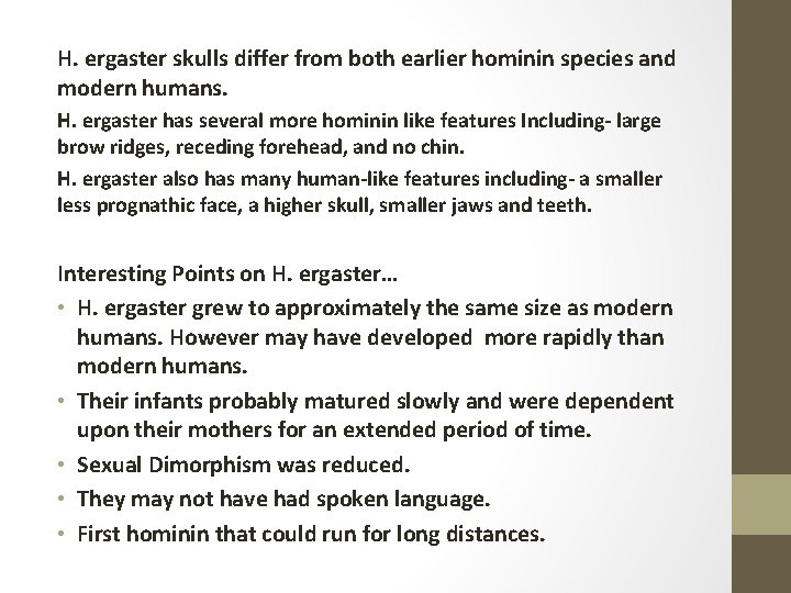 H. ergaster skulls differ from both earlier hominin species and modern humans. H. ergaster