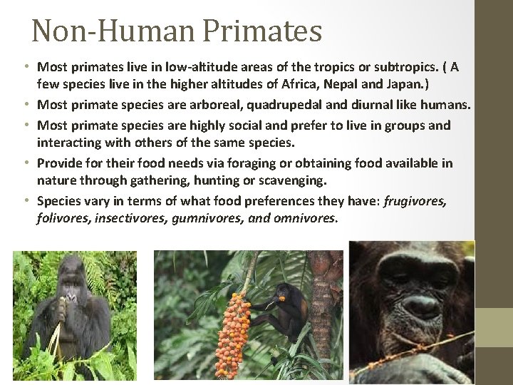 Non-Human Primates • Most primates live in low-altitude areas of the tropics or subtropics.