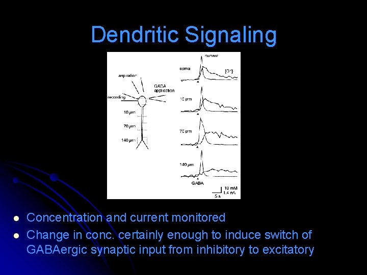 Dendritic Signaling l l Concentration and current monitored Change in conc. certainly enough to Dendritic Signaling l l Concentration and current monitored Change in conc. certainly enough to