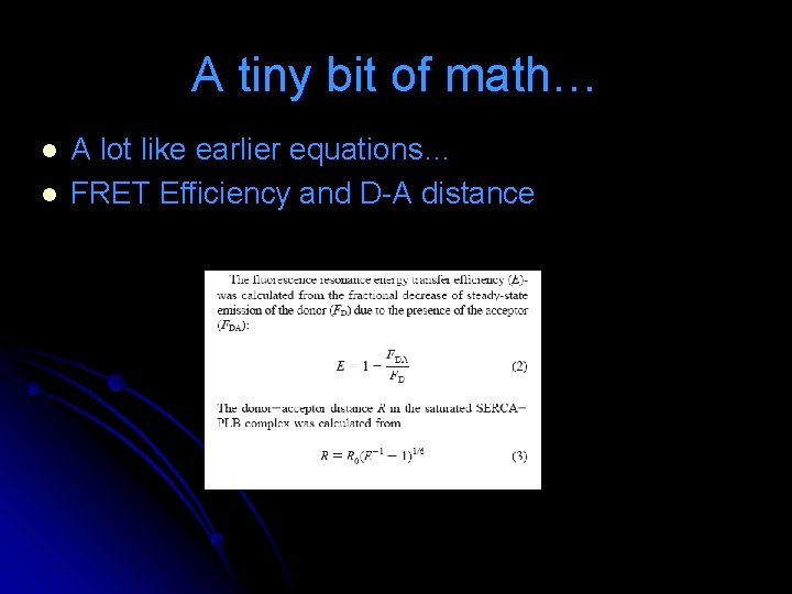 A tiny bit of math… l l A lot like earlier equations… FRET Efficiency A tiny bit of math… l l A lot like earlier equations… FRET Efficiency