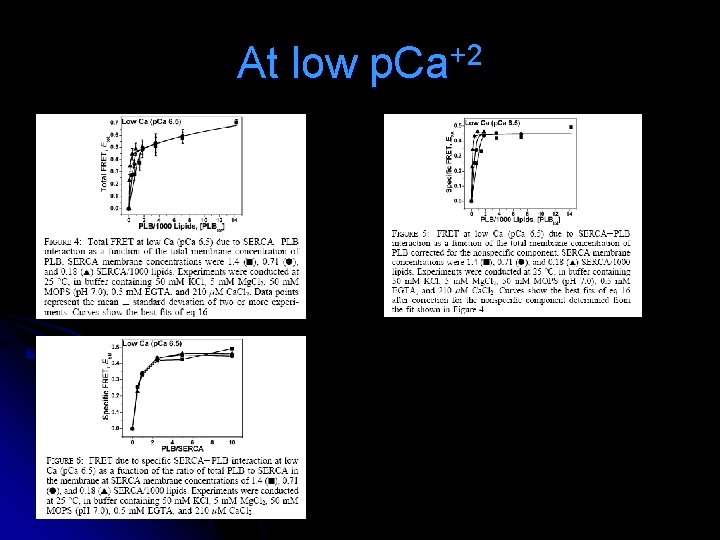 At low p. Ca+2 At low p. Ca+2